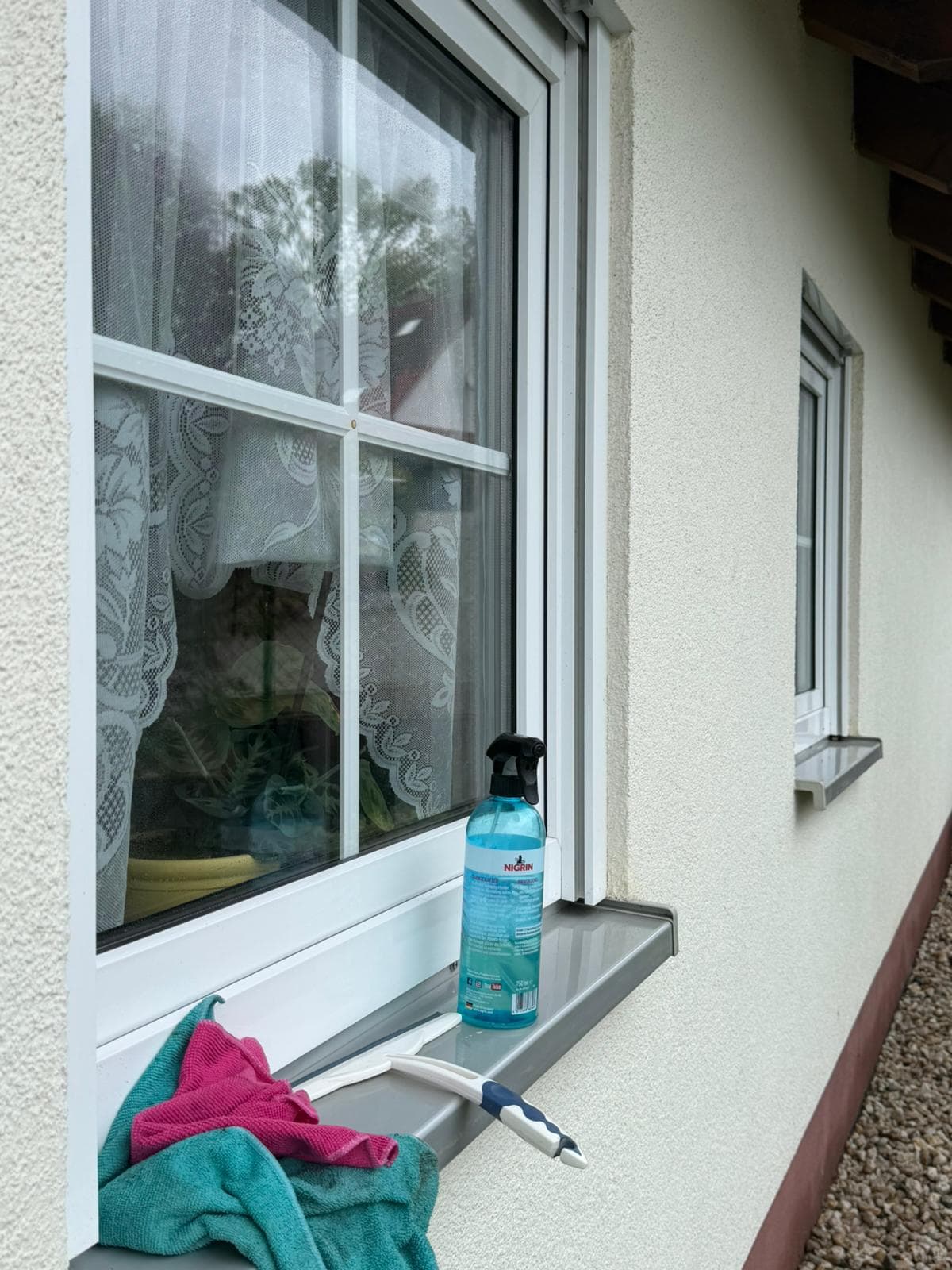 Fensterreinigung – Detail